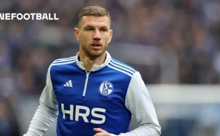 Džeko Aims to Reverse Schalke’s Worst Season Start