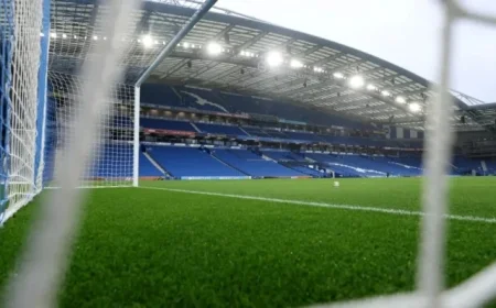 Everton vs. Brighton: Lineups, TV Channels, and Online Stream Guide