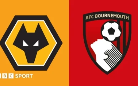 Wolves vs Bournemouth: Premier League Preview, Team News & Stats