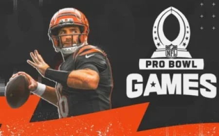 Minnesota Senate Hearing on Operation Metro Surge Attracts Lawmakers from 15 States