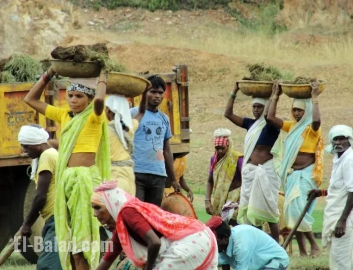 Rural Employment Law Lacks Solid Assurance