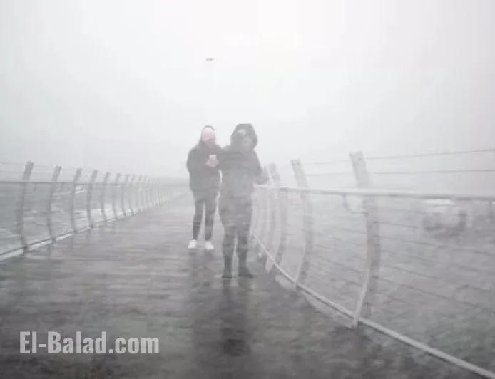 Flood Alert: Atmospheric River Strikes Vancouver Island and Fraser Valley, B.C.