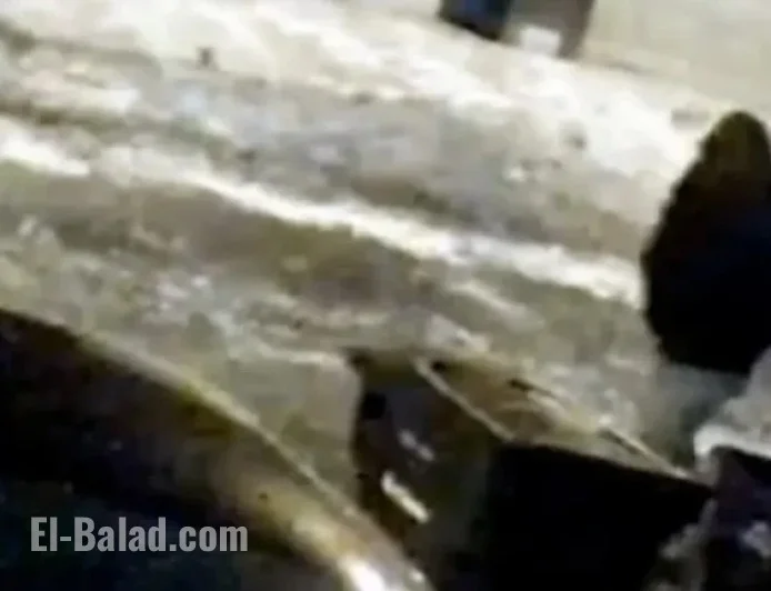 Ex-Husband Michael McKee Charged with Monique Tepe’s Death