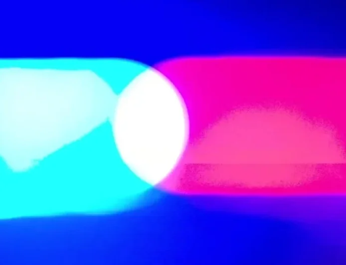 Women Accused of Biting Border Patrol Agents After Alex Pretti Shooting