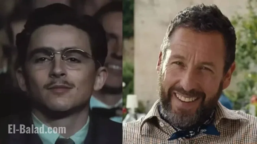 Timothée Chalamet on the Adam Sandler Role He Regretted Missing