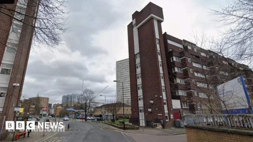 23-Year-Old Man Fatally Stabbed in Deptford