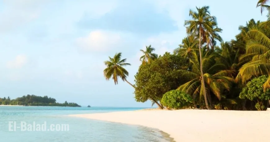 “New Zealand: First to Welcome New Year, Faces 25-Year Countdown”