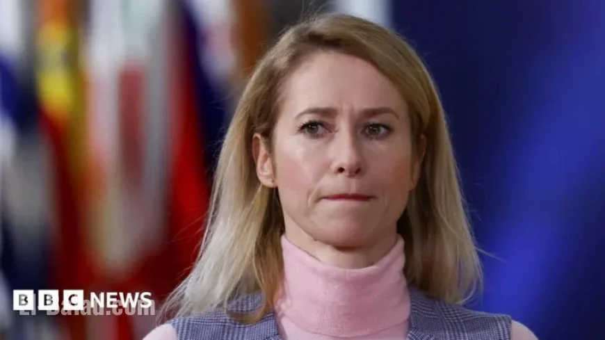 EU Diplomat Denounces Russian Accusations of Ukrainian Government Cyberattack