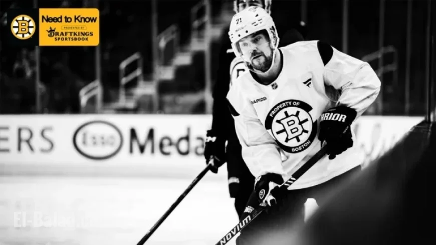 Bruins Face Oilers: Key Match Highlights