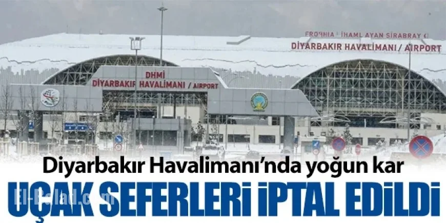 Snow Disrupts Flights in Diyarbakır