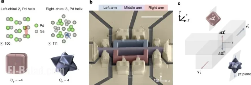 Quantum Geometry Powers Chiral Fermionic Valve
