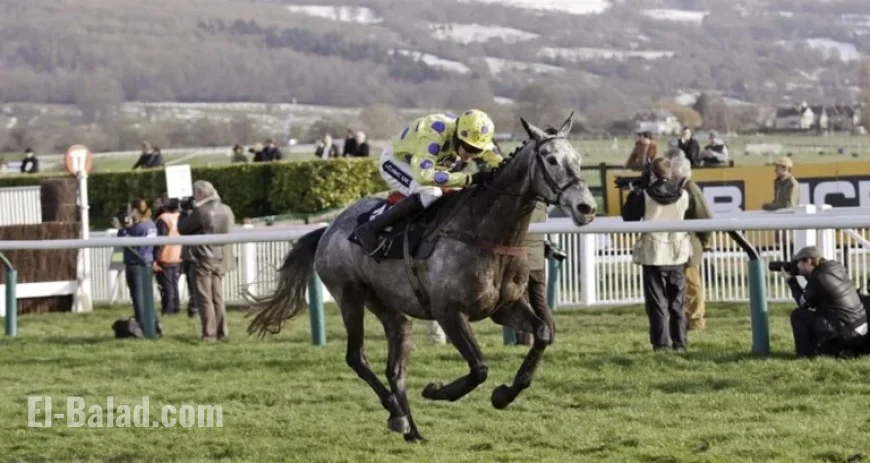 Top Contenders for 2026 Queen Mother Champion Chase Revealed