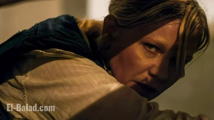 Acclaimed 21st Century War Film Dominates Streaming Competition