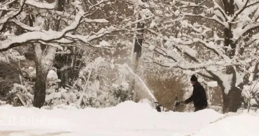 Ontario Implements New Laws and Rules Starting Next Year