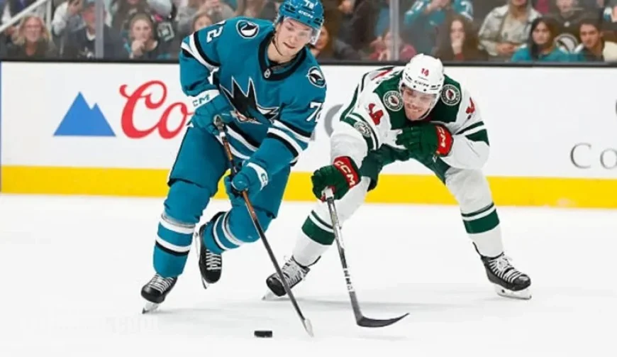 Wild vs. Ducks: Expert Predictions, Odds, & Top Picks – January 2