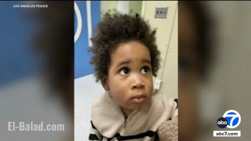 Los Angeles Police Arrest Mother After Toddler Left During Car Theft Attempt