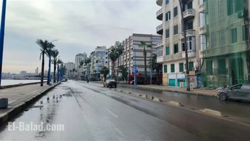 Rainy Start to 2026 in Alexandria (Photos)