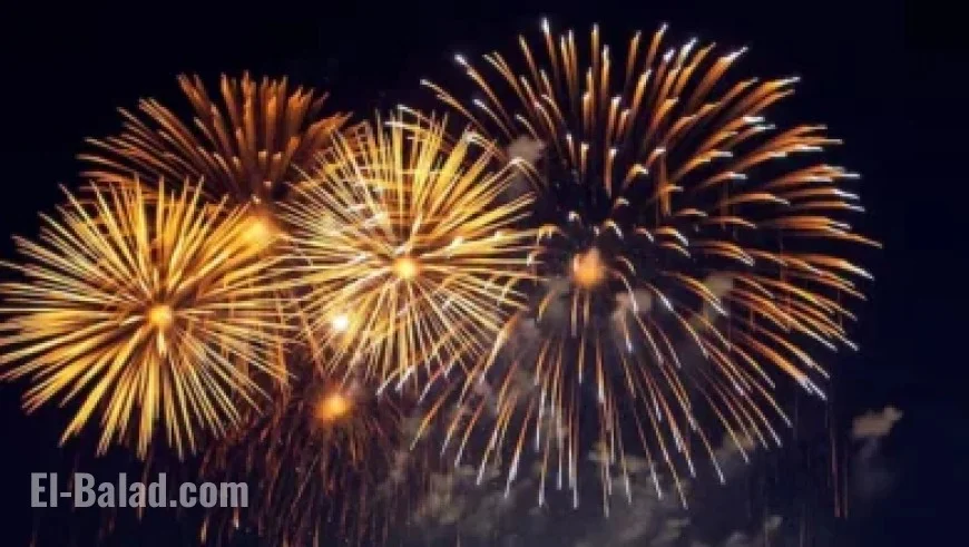 Demidov Honored as NHL December Rookie of the Month