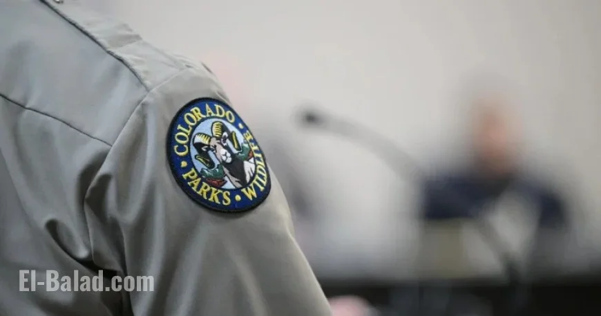 Mountain Lion Attack in Northern Colorado: Woman Killed, Officers Euthanize Two