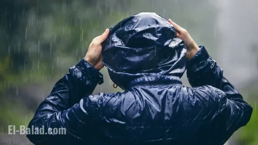 Morning Snowfall Transitions to Sunny Afternoon Skies