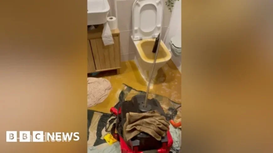 Reading Woman Fights to Halt Toilet Sewage Overflow