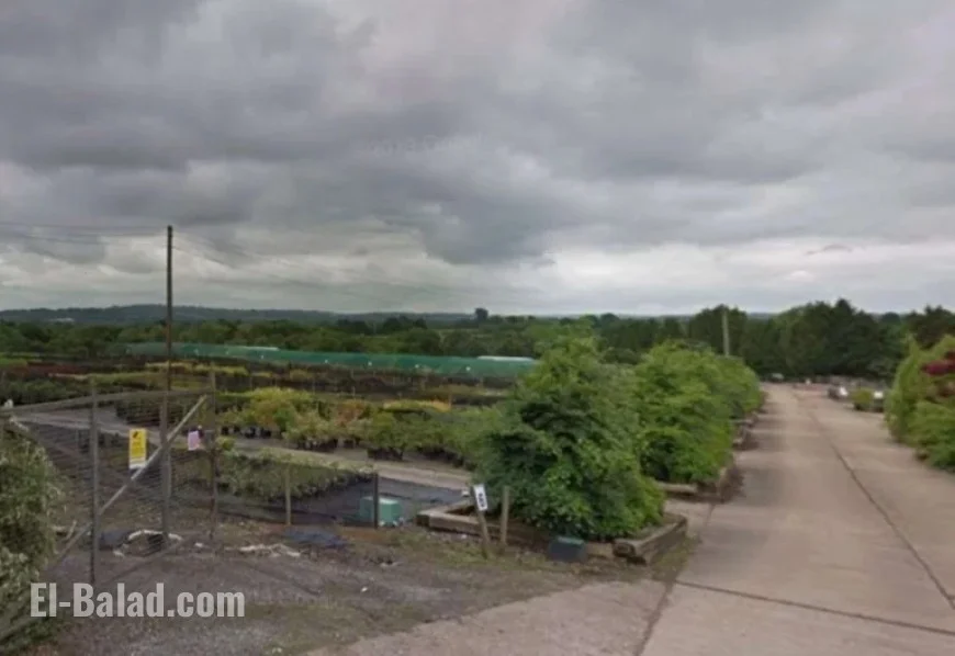350 Homes and 564 Parking Spaces Planned for Plant Nursery Site