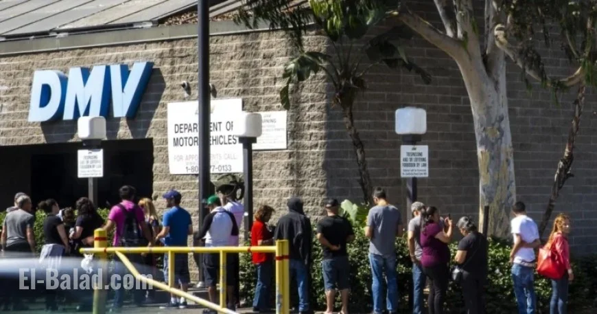 Software Error Forces 325,000 Californians to Obtain New Real IDs