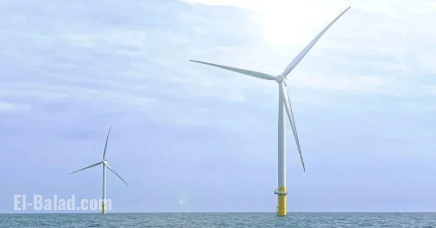 Lawsuit Filed Against Trump for Stopping Major US Offshore Wind Farm