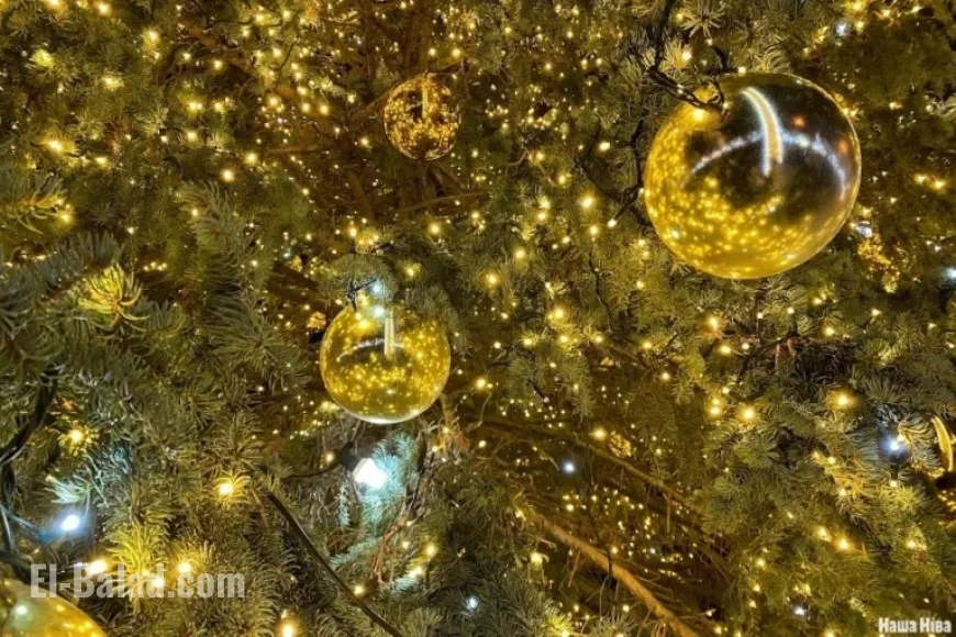 Celebrate New Year in Minsk: Top Spots to Visit After Midnight