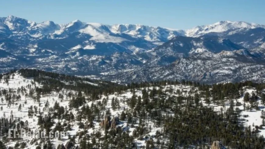 Colorado Woman Killed in Suspected Mountain Lion Attack