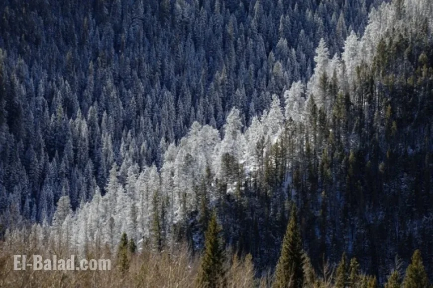 Hazardous Weather Advisory Issued for Colorado Mountains