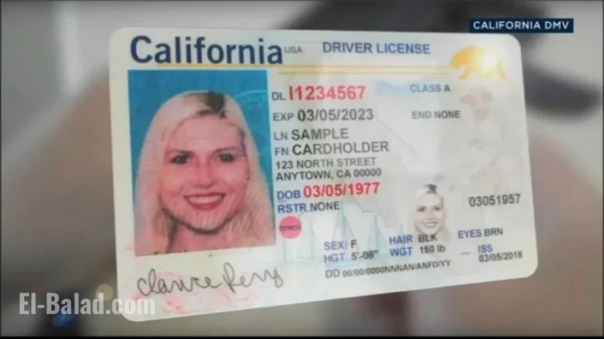325,000 Californians Must Replace REAL IDs Due to DMV Software Error