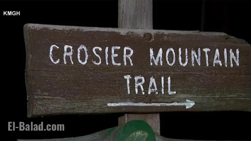 Mountain Lion Suspected in Fatal Colorado Hiking Attack on Woman