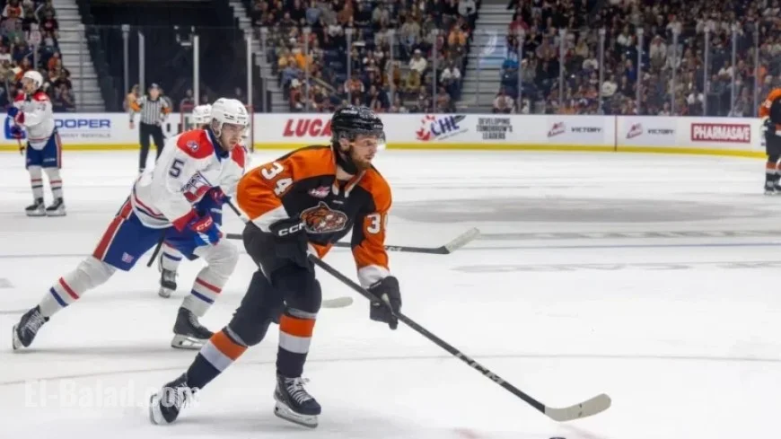 Andrew Basha Rejoins Medicine Hat Tigers for New Year’s Celebration