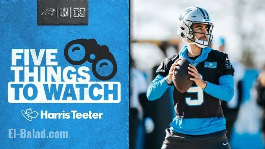 Panthers Eye Playoff Spot: 5 Key Factors to Watch