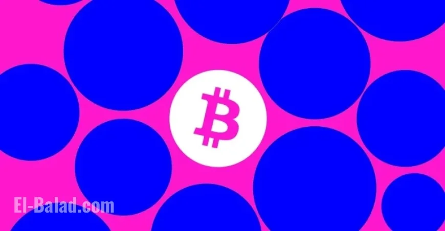 Ilya Lichtenstein Praises Trump for Early Release After Bitcoin Hack