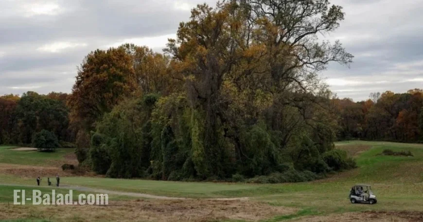 Trump Administration Ends Lease for Washington Public Golf Courses