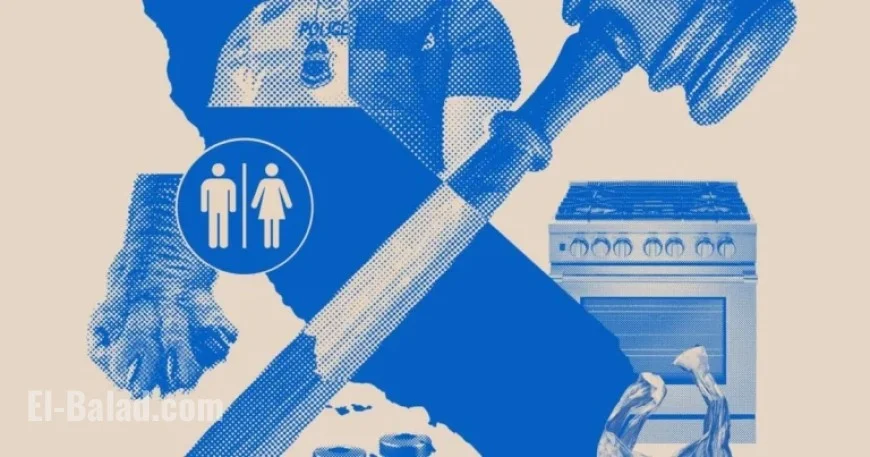 California Ushers in New Year with Comprehensive New Laws