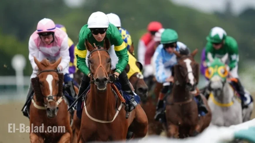Live Saturday: Lingfield, Newcastle, and Southwell Race on Sky Sports
