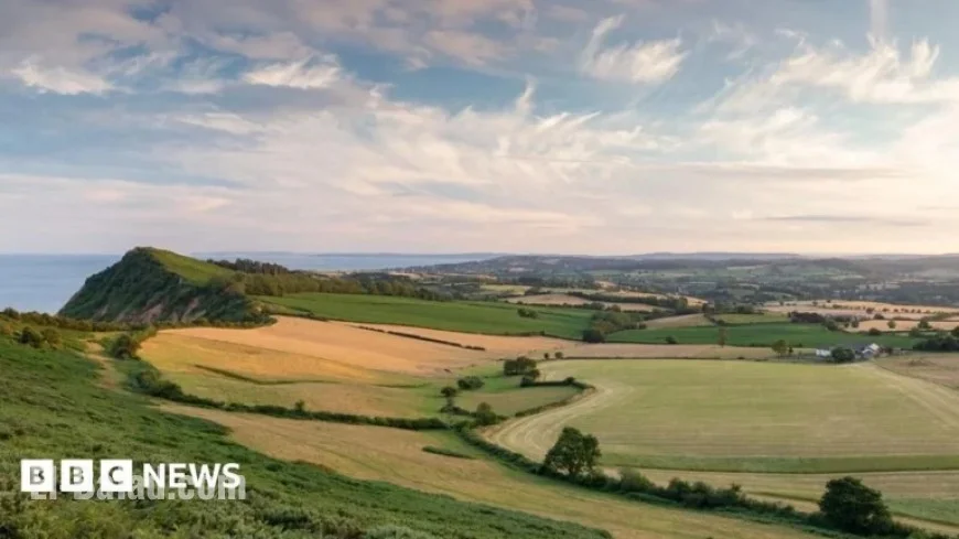 Devon Politics 2025: A Year of Transformation