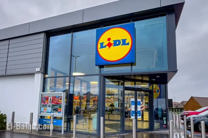 Lidl Achieves Record Christmas Sales, Attracting Over 50 Million Shoppers