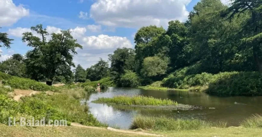 Police Officer Intentionally Falsifies Information on Bradgate Park Mushroom Picker