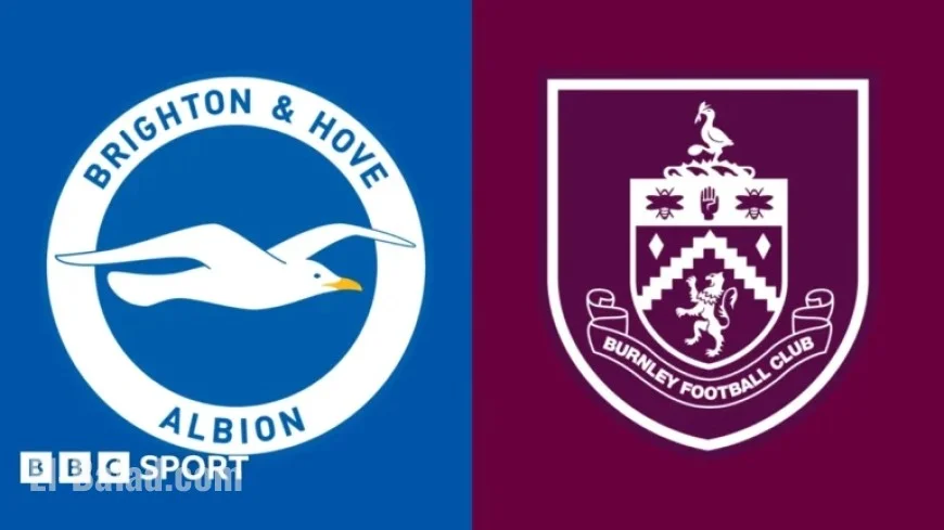 Brighton vs Burnley: Premier League Preview, Team News, Stats, Head-to-Head