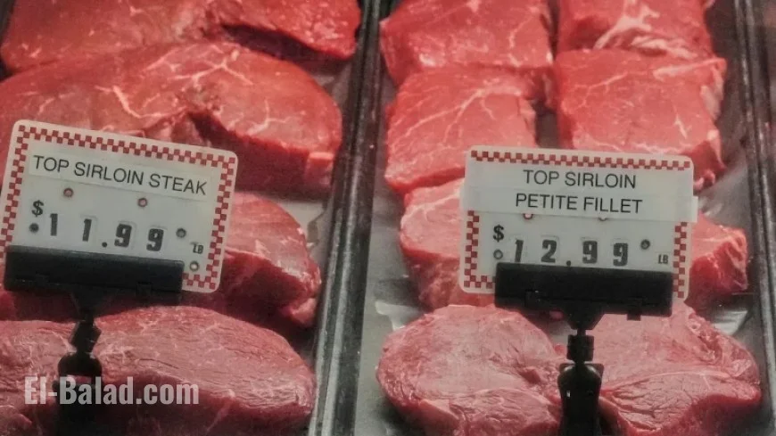 Eligible for Beef Settlement? Learn How to Claim Your Cash Refund