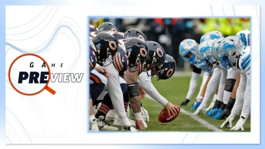 Lions Face Bears: Key Matchup Preview