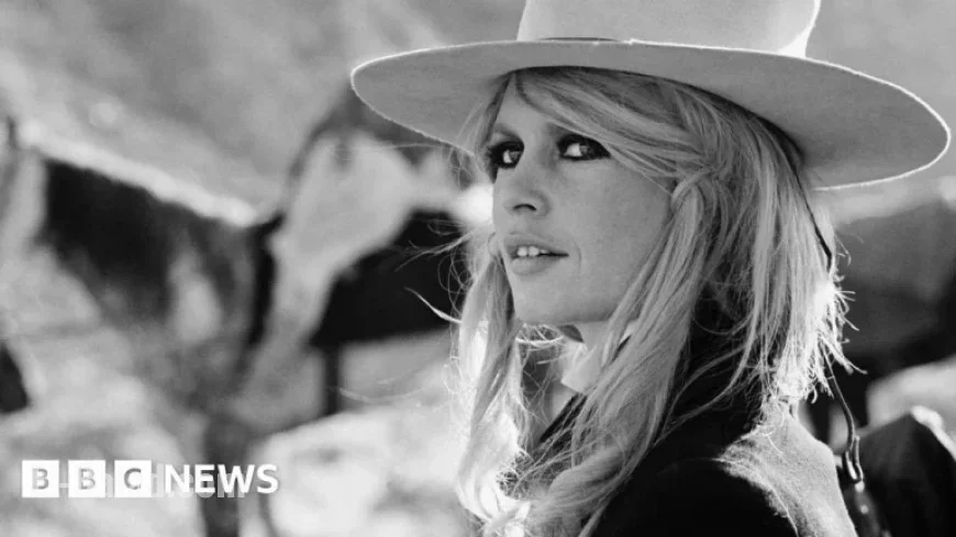 Brigitte Bardot Foundation Warns Against Scam Memorabilia