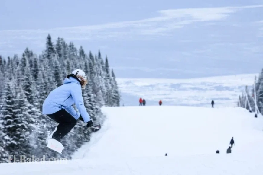 Union Criticized for Withholding Offers from Charlevoix Members