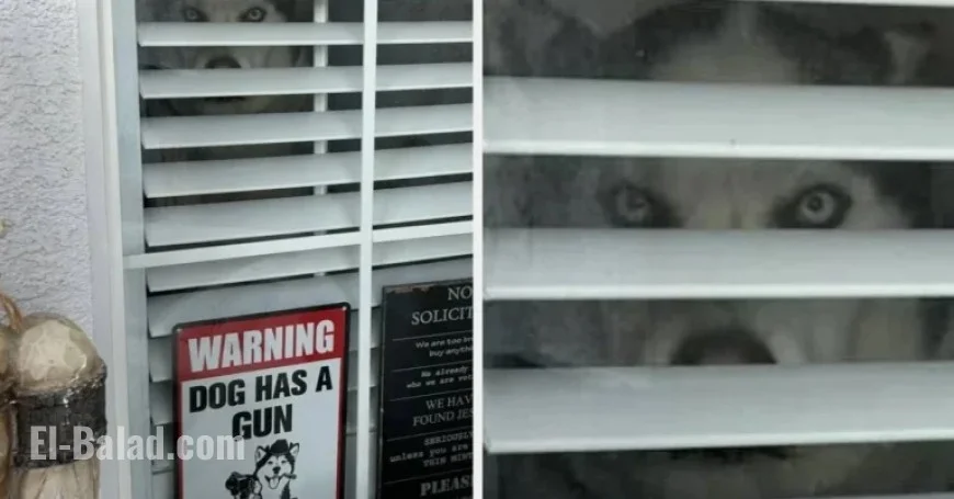 Kickstart 2026 with Laughter: Hilarious Signs to Brighten Your Year