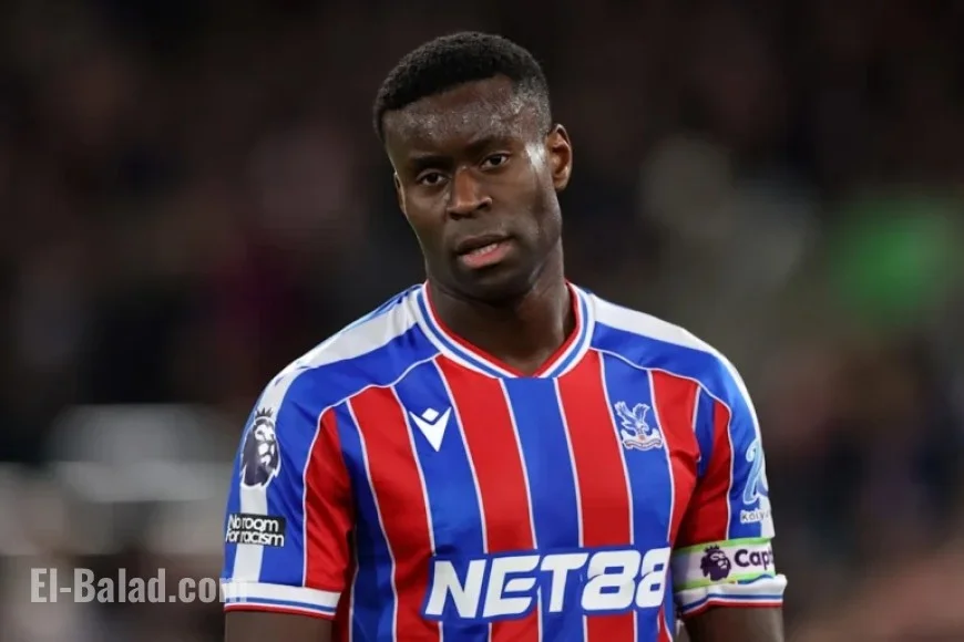 Crystal Palace vs Newcastle: Predicted Lineup and Team News