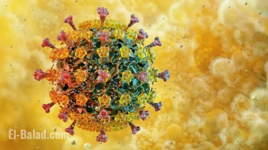 2025 Bird Flu Developments: Key Events and Impacts